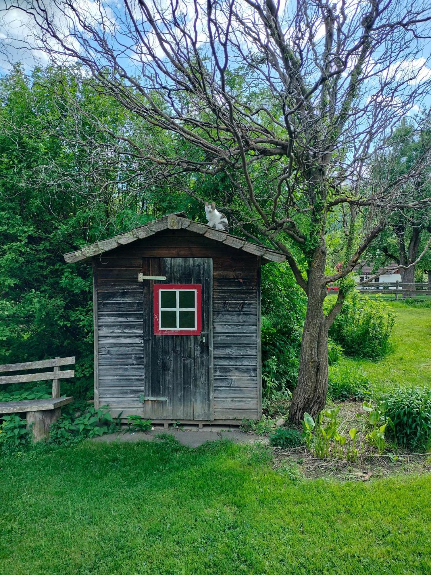 Koestlhof, Familie Hassler Bed & Breakfast Обердраубург Екстериор снимка